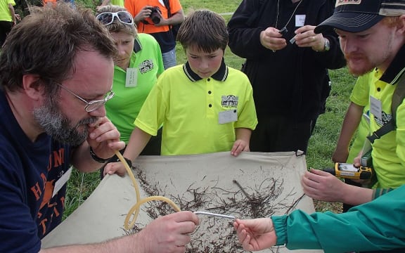 Students watching entomologist Rob Cruikshank