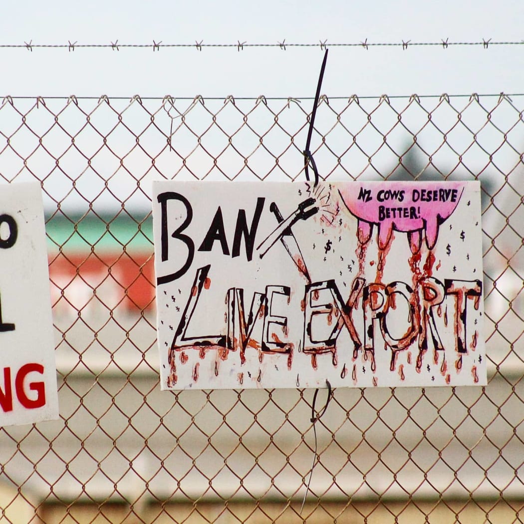 Signs at the protest today.