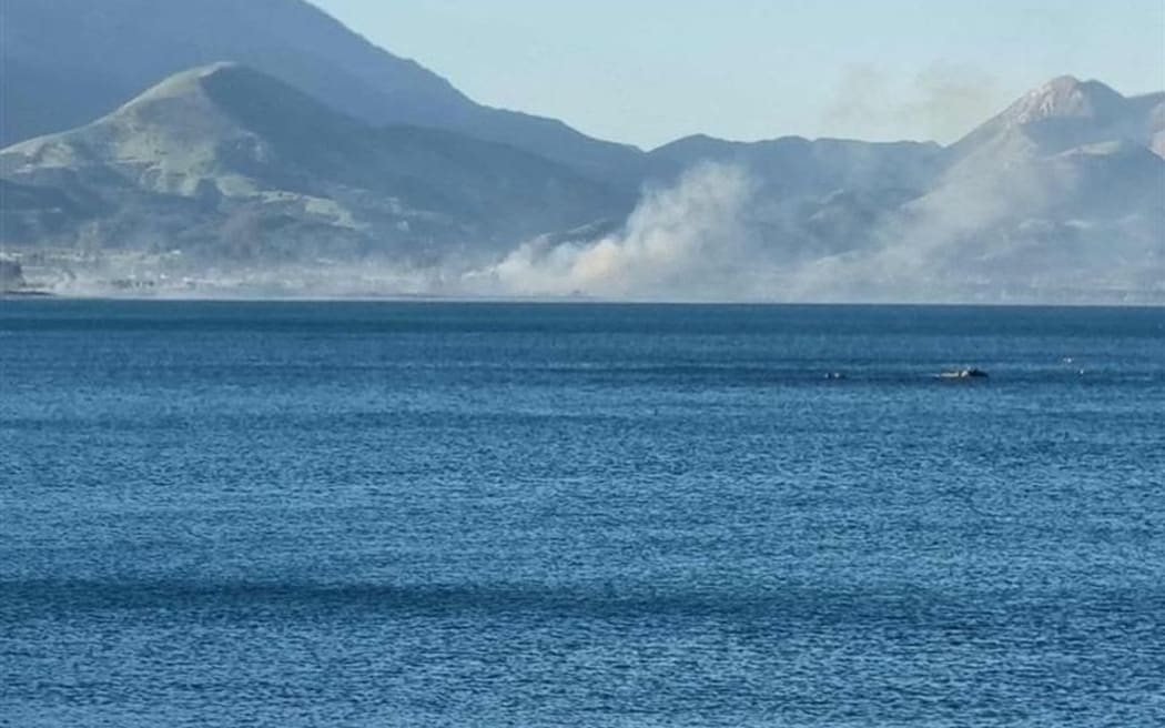Kaikoura fires