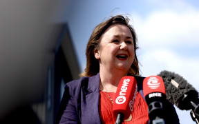 Labour Energy spokesperson Megan Woods speaks to media after announcing the party's solar panels and battery rebate policy.