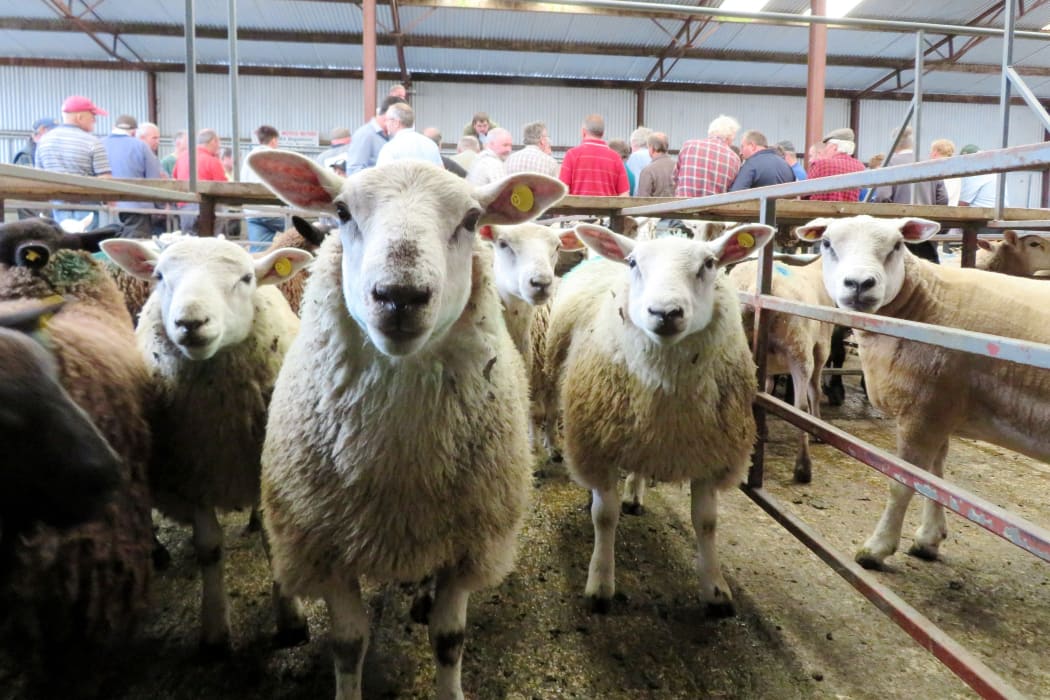 A stock sale in Athboy, Ireland