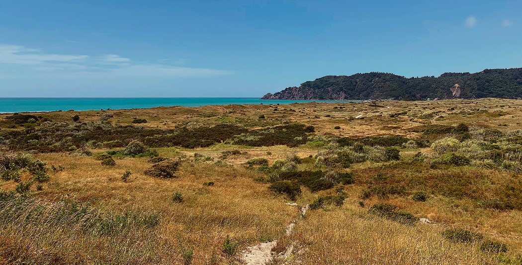 Iwi are fighting to stop a resource consent to turn this land in Whakatane, which is wahi tapu, into a suburb featuring a retirement village.