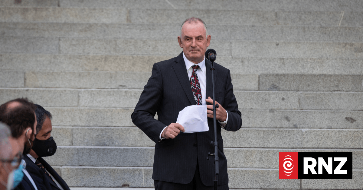 Political commentators Neale Jones & Tim Hurdle | RNZ