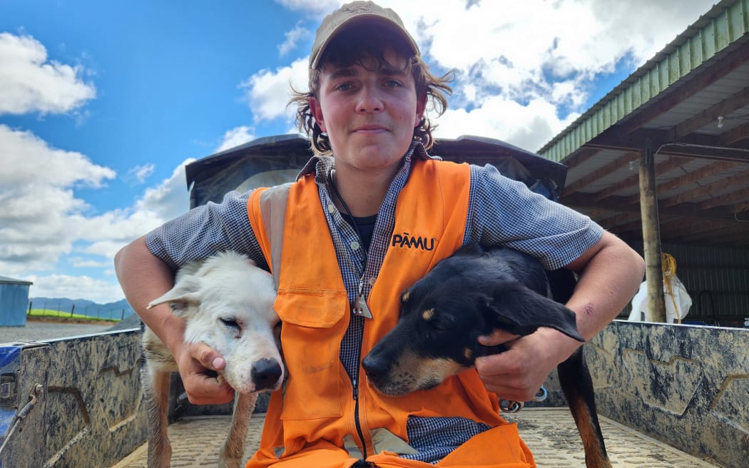 Archie sitting in the back of his ute with a dog under each arm