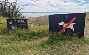 Auckland Council says dog owners must be aware of the rules and read the signs at West Coast beaches to keep Kororā safe.