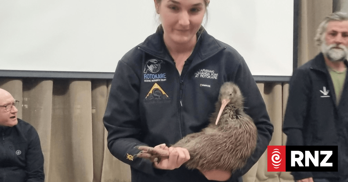 Kiwi bird steps into Parliament to celebrate Capital Kiwi project growth