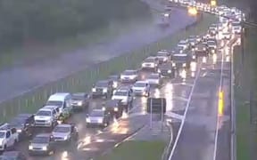 Rain and a crash caused delays for commuters into Wellington.