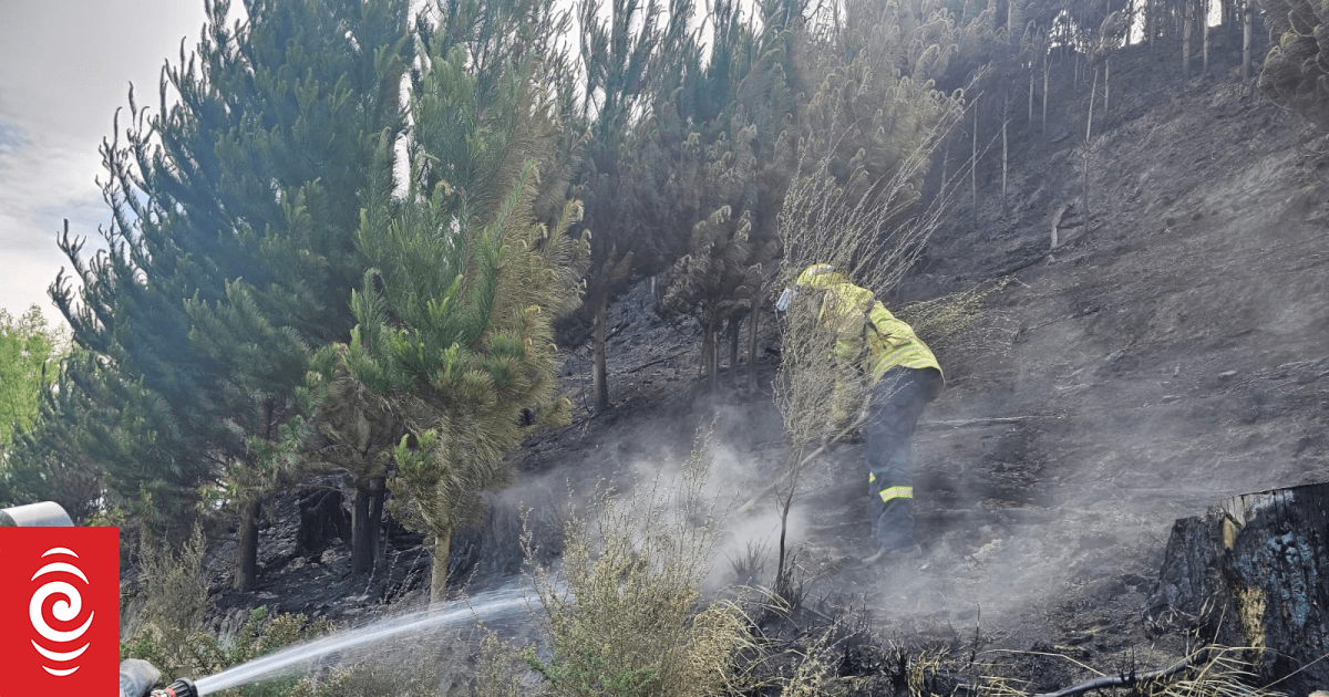 More total fire bans take effect in Hawke's Bay
