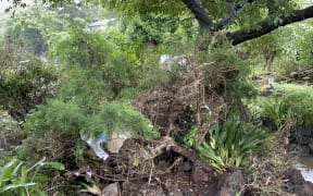 Fallen trees in the garden of Annette Kennedy's West Auckland home after floodwaters flowed through her property on 27 January, 2023.