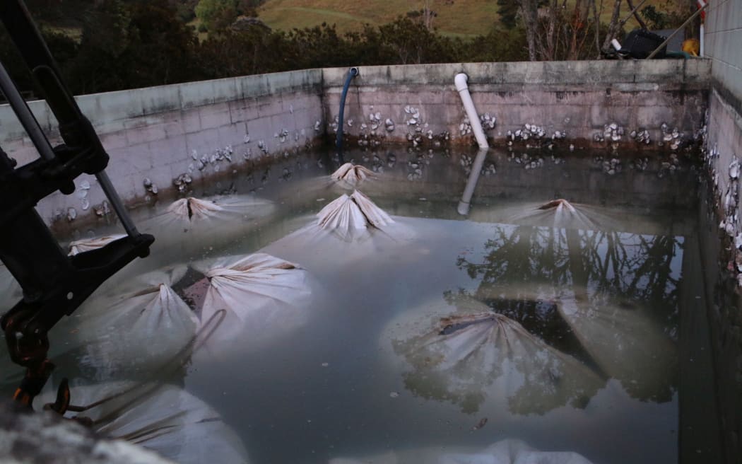 Overnight storage tanks with 10 tonnes of Mussels in them.