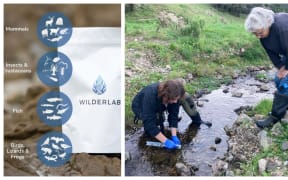 Wilderlab