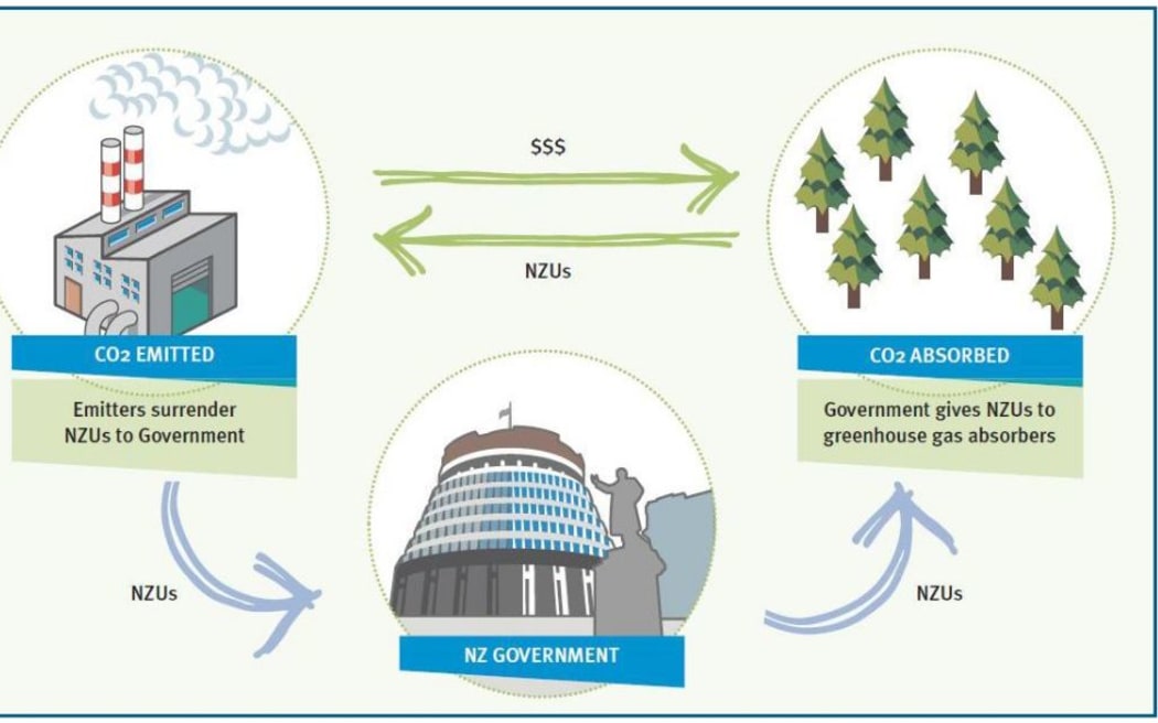 The basic concept of the NZ ETS (http://www.mfe.govt.nz/sites/default/files/media/Climate%20Change/nz-ets-review-discussion-document-november-2015.pdf)