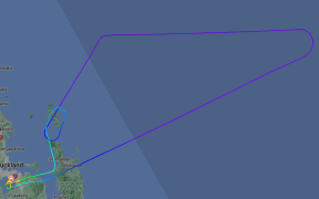 Air New Zealand flight NZ902.