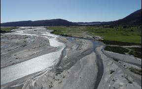 DOC manages grazing concessions and one special licence on public conservation land on the West Coast. Photo: Supplied (single use only)