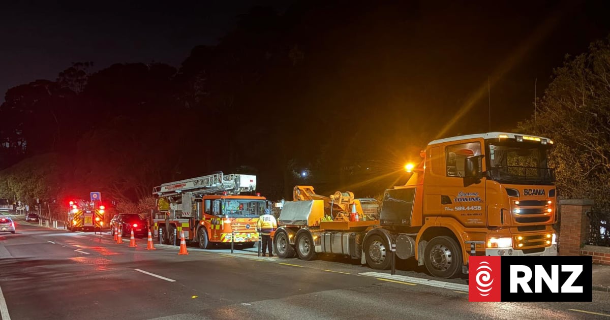 Wellington 'vulnerable' after losing FENZ ladder truck to fire, senior firefighter says
