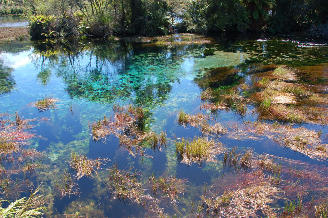 Te Waikoropupu Springs