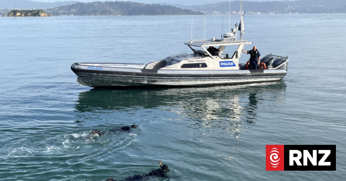 Body recovered from water near Te Papa