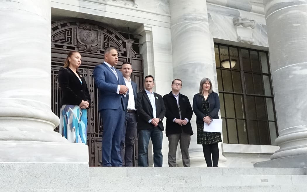 Green Party and hīkoi members were together at Parliament for the party's announcement
