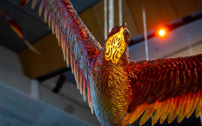 wellington airport has a new bird art
