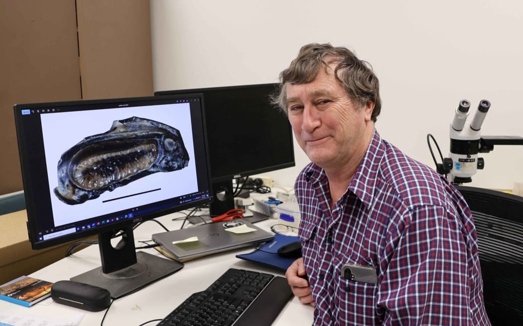 Associate Professor Trevor Worthy at the Flinders Palaeontology Lab.