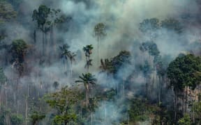 Smoke billowing from the Jamanxim National Forest - APA (Environmental Protection Area) - in the Amazon biome in the municipality of Novo Progresso, Para State, Brazil, on August 23, 2019.