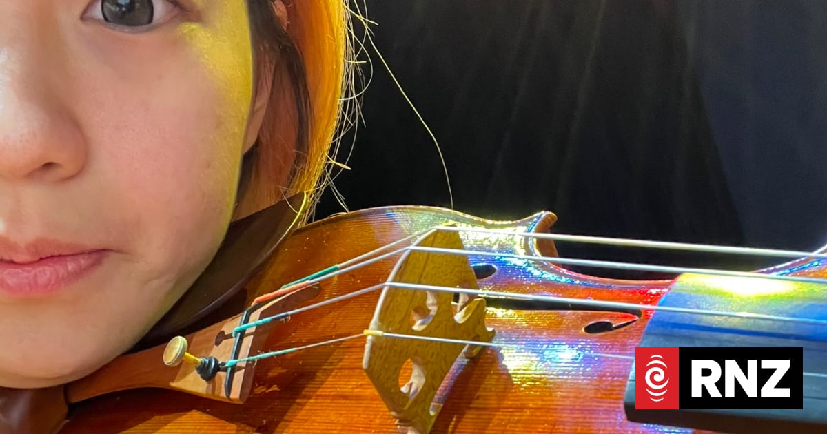 Police continue hunt for missing $37,000 violin left on bus
