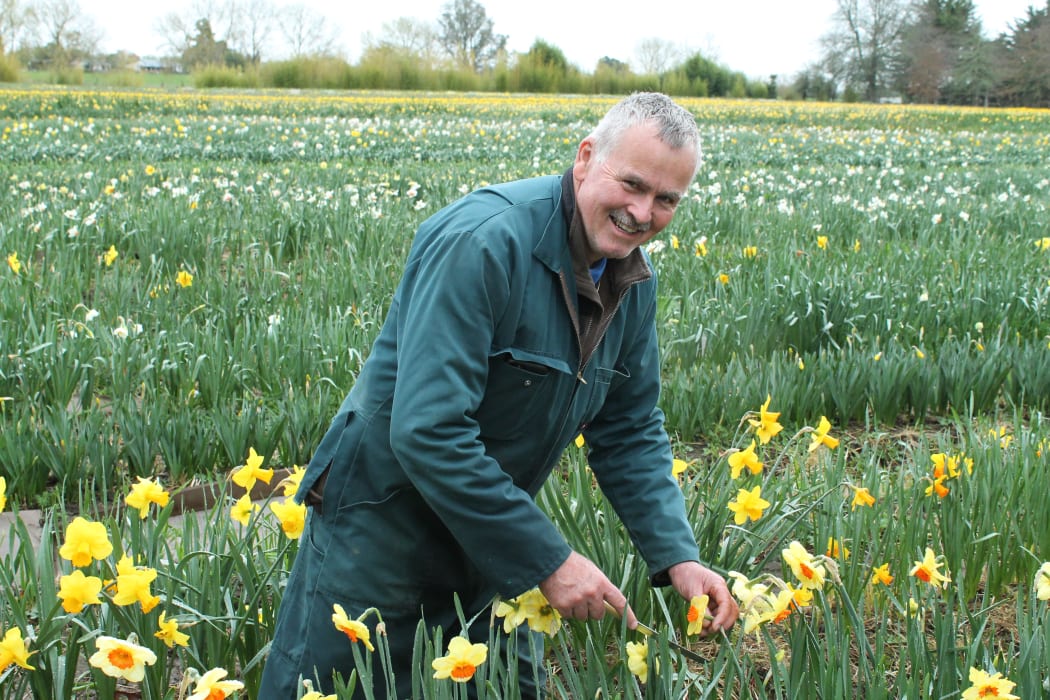 Ian Riddell
