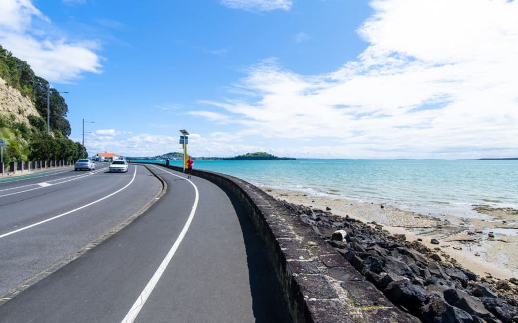 Tamaki Drive