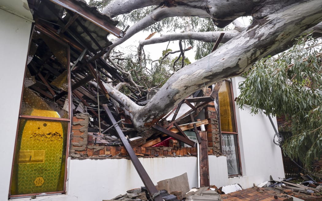 A damaged home is pictured after a tree uprooted by strong winds crashed into the structure in the suburb of Elanora as Cyclone Alfred passed near the Gold Coast on March 8, 2025. Cyclone Alfred weakened into a tropical low on March 8 but still threatened to unleash major floods on swollen rivers as it approached the rain and wind-lashed eastern coast of Australia. (Photo by DAVID GRAY / AFP)