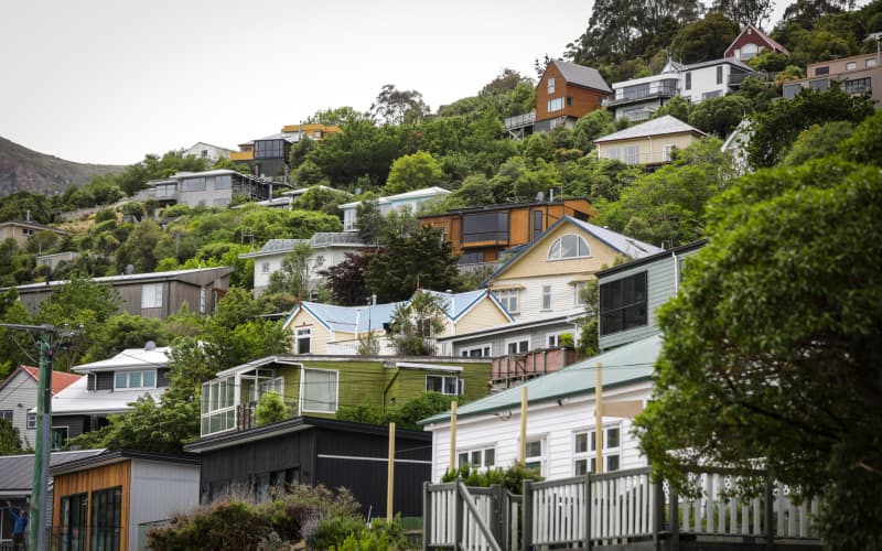 Māori housing policy going backwards, report finds | RNZ