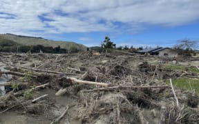 Forestry slash and silt blankets the once green Esk Valley since Cyclone Gabrielle.