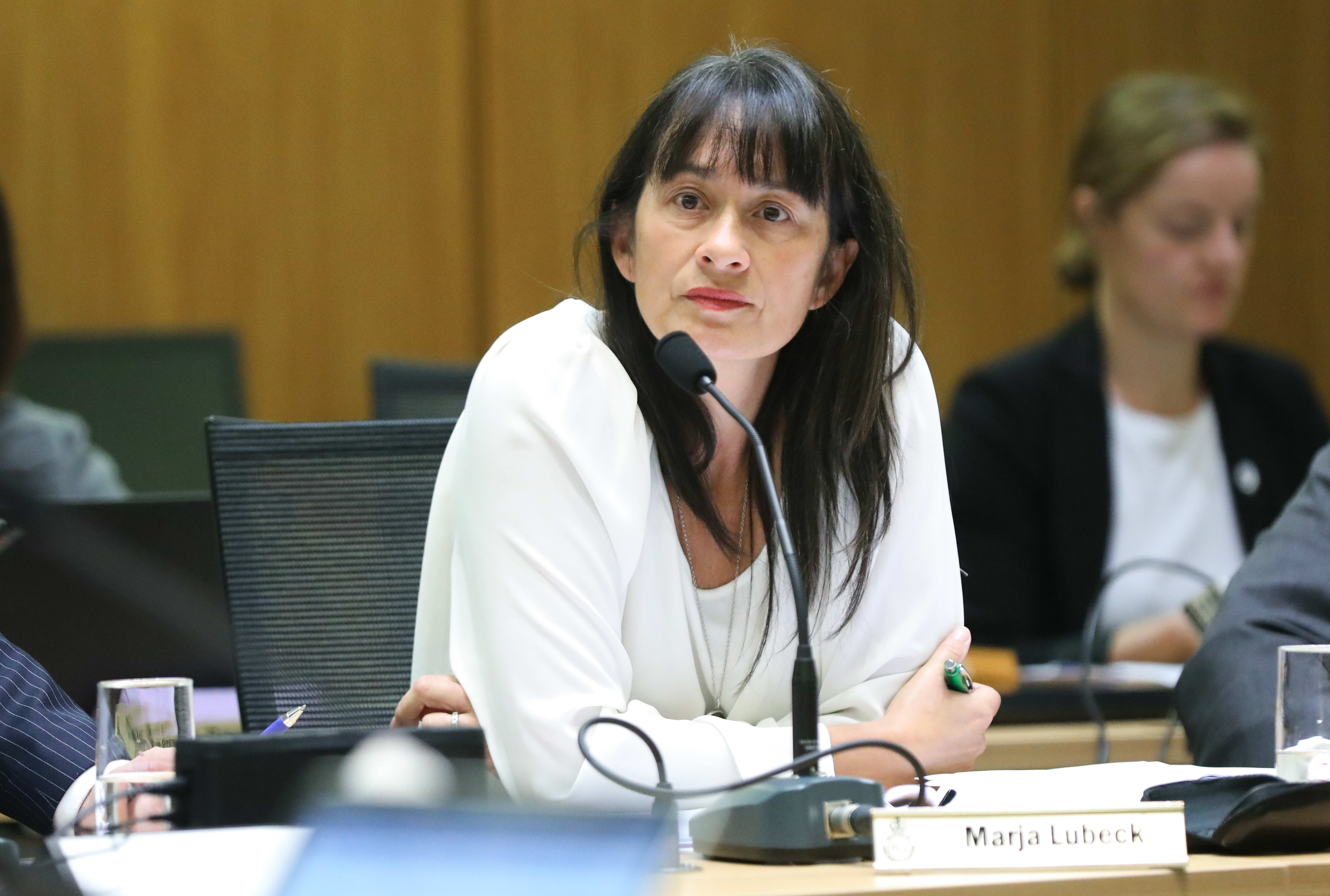 Labour MP Marja Lubeck in Select Committee