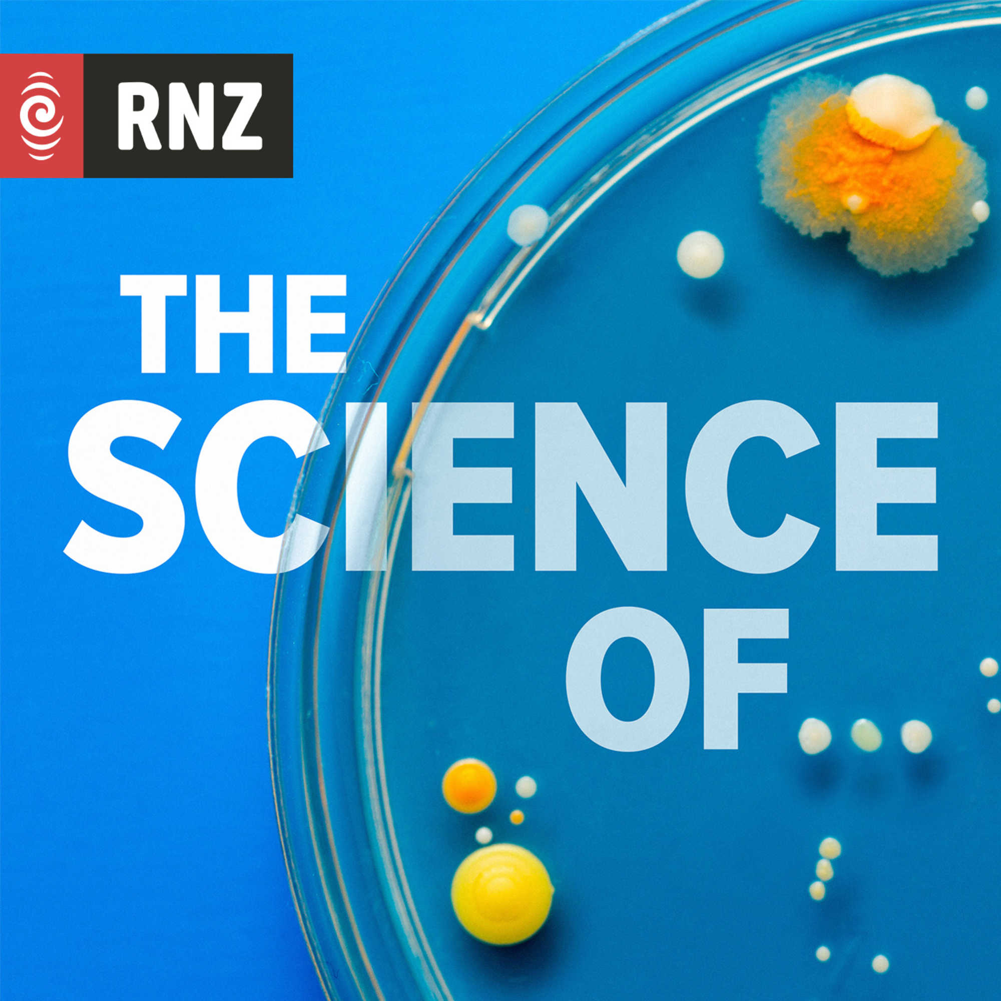 The Science Of…
