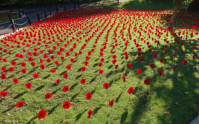 Anzac Day poppies of remembrance.