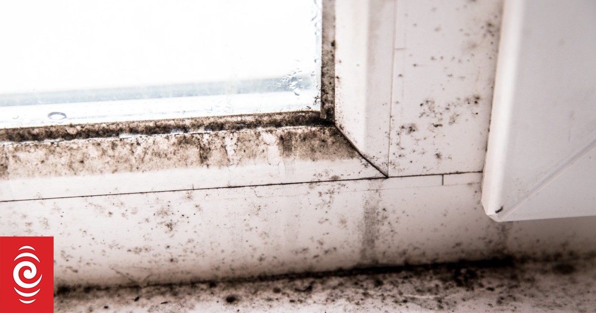 Damp houses, high rent, no jobs - Otago students are doing it rough
