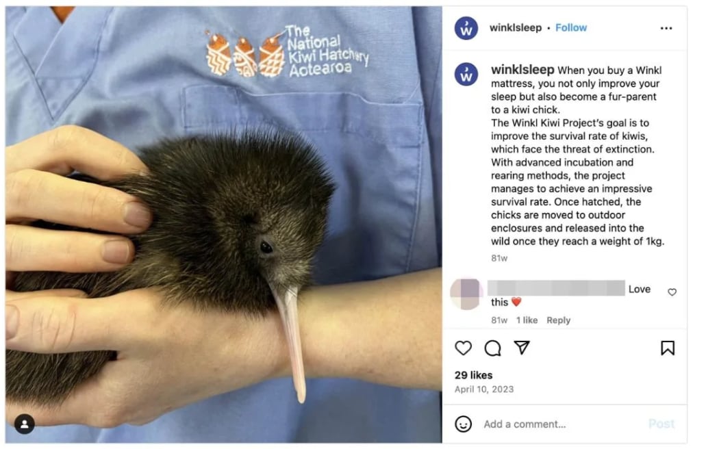 Winkl ran the "Winkl Kiwi Project"