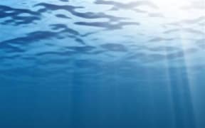 The deep blue sea, the ocean, under water