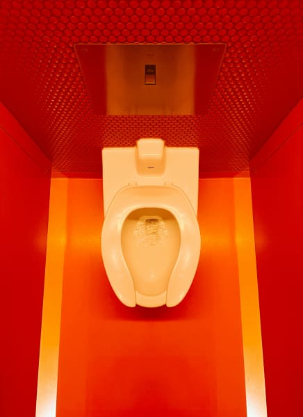 A toilet in a bright bathroom.