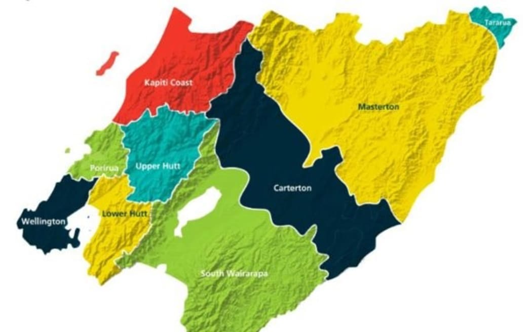 The various Wellington council boundaries.