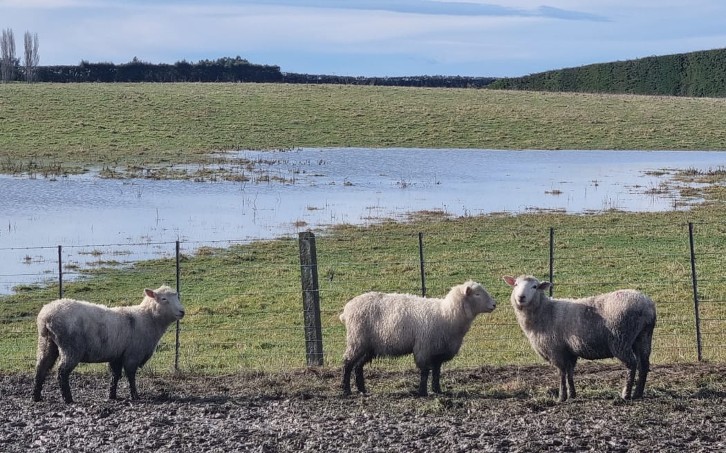Flooded land on the farm.