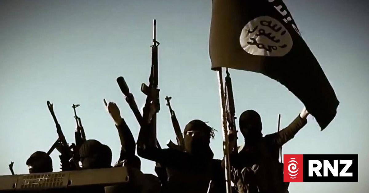 UN mission probing Islamic State crimes forced to shut in Iraq | RNZ