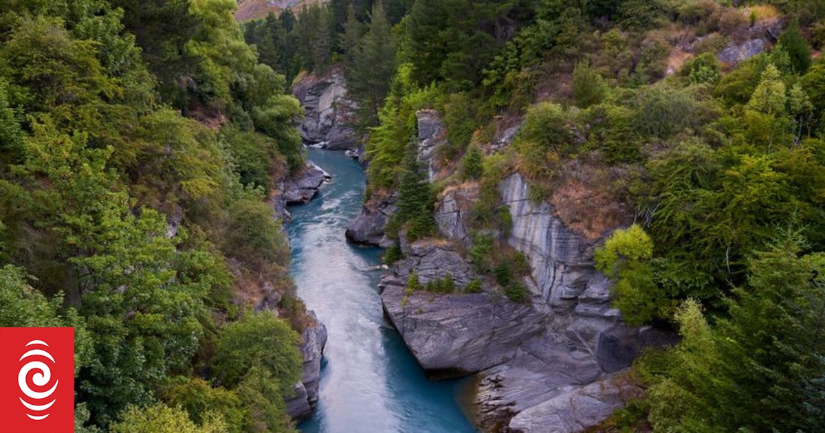 Community group alarmed by Shotover River's spike in E. coli, council opens investigation