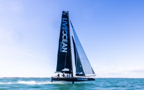 Live Ocean Racing's catamaran.