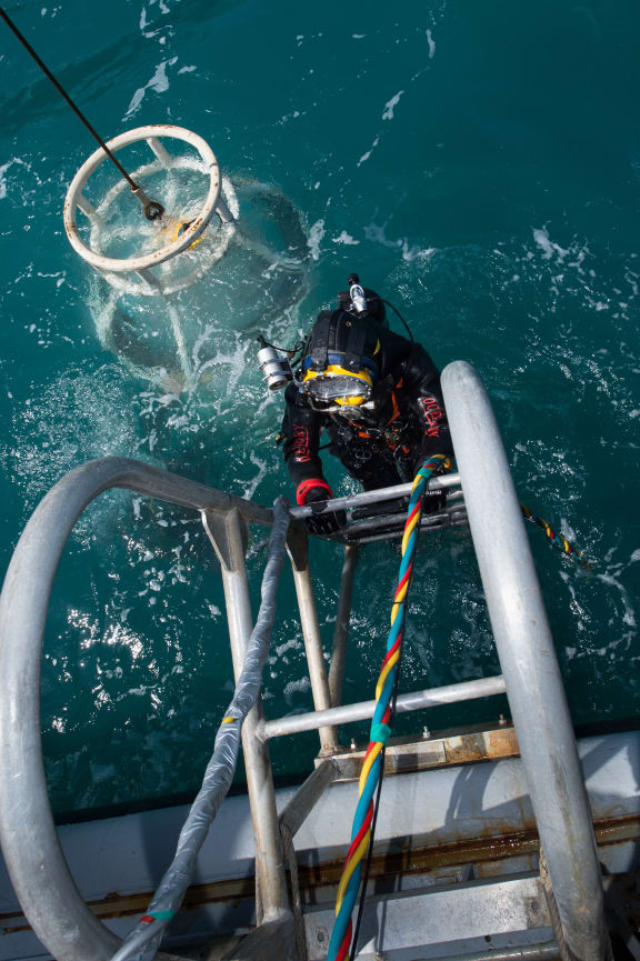 Navy diver Luke Gordon climbs back on board HMNZS Manawanui during preparation for a search and recovery operation at the site of sunken fishing vessel Jubilee on 26 October 2015.