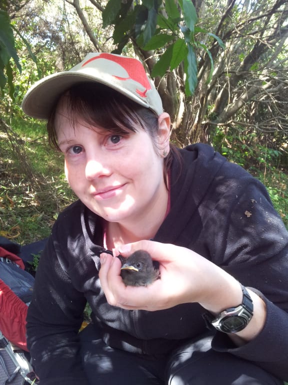 Michelle Roper on field work during her PhD. She holds a baby bird in her hand.