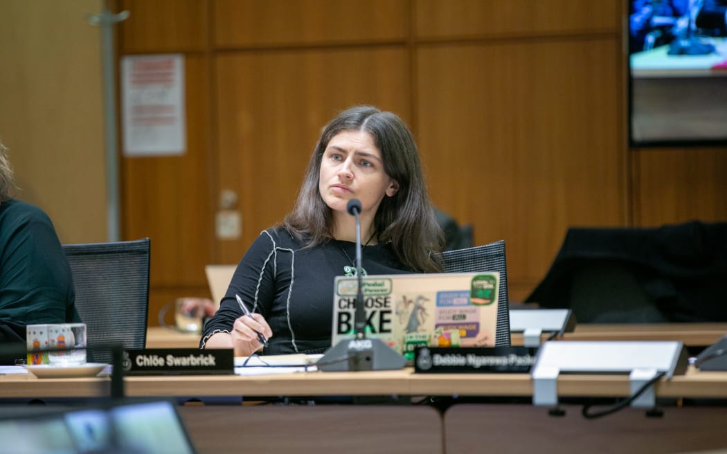 Chloe Swarbrick during the Finance and Expenditure Committee inquiry into climate adaptation