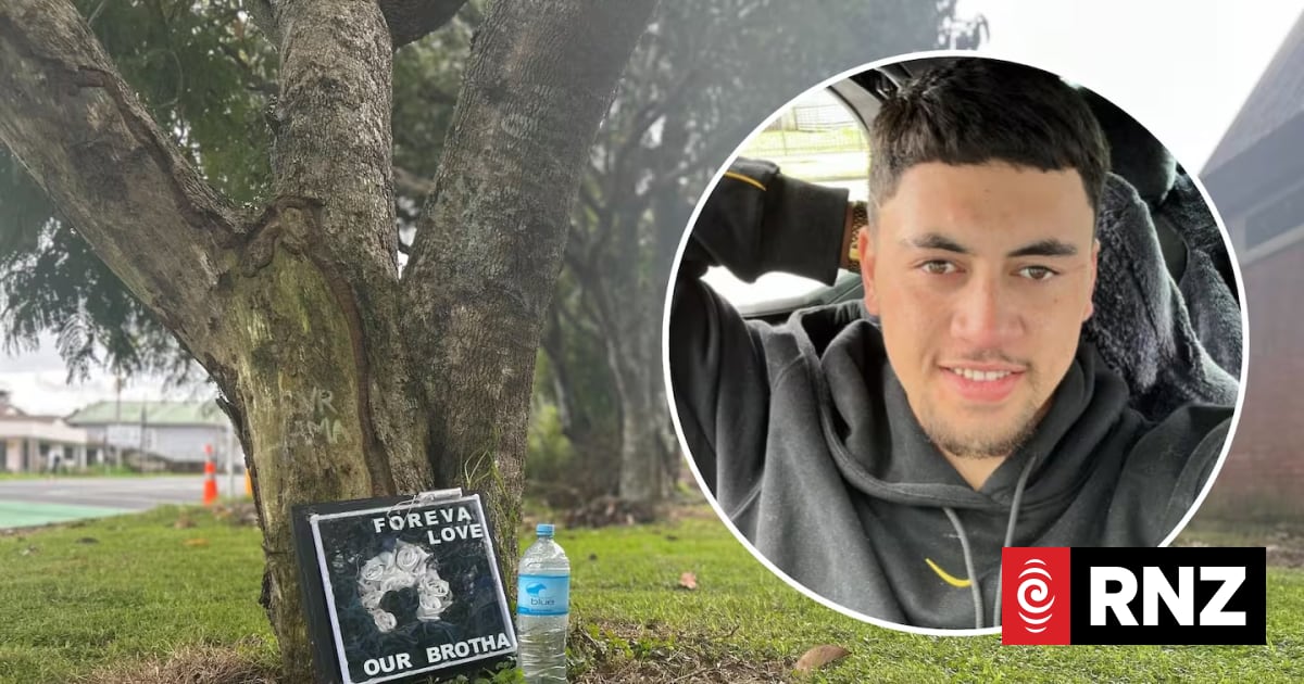 Rameka Rewiti sentenced to home detention for drunk crash that killed ...