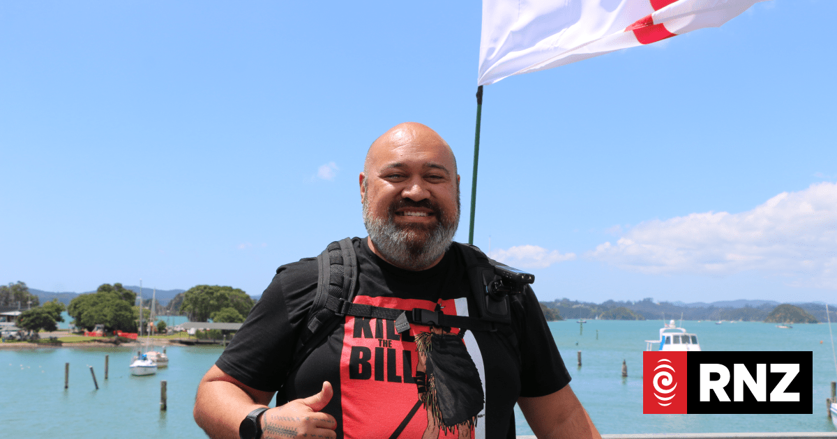 Greens defend Māngere candidate Michel Mulipola for past soc