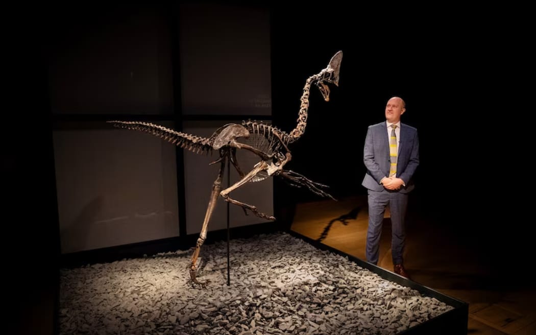 Christie's head of science and natural history James Hyslop is excited about the sale. (ABC News: Riley Stuart)