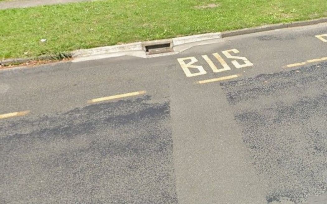 An existing bus stop is located less than 250m from the proposed new stops on Dundee Drive, Flaxmere.